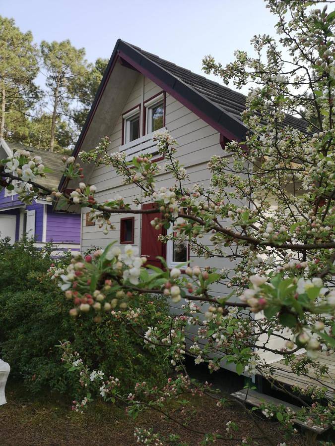 Gîte pour 4 personnes, avec piscine ainsi que jardin et sauna à Le Porge - 2