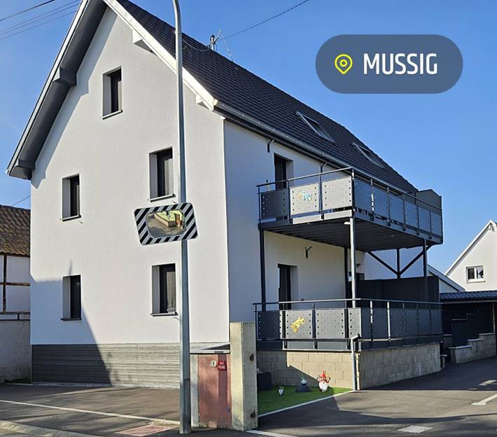 Gîte pour 15 personnes, avec terrasse dans Grand Est - 3