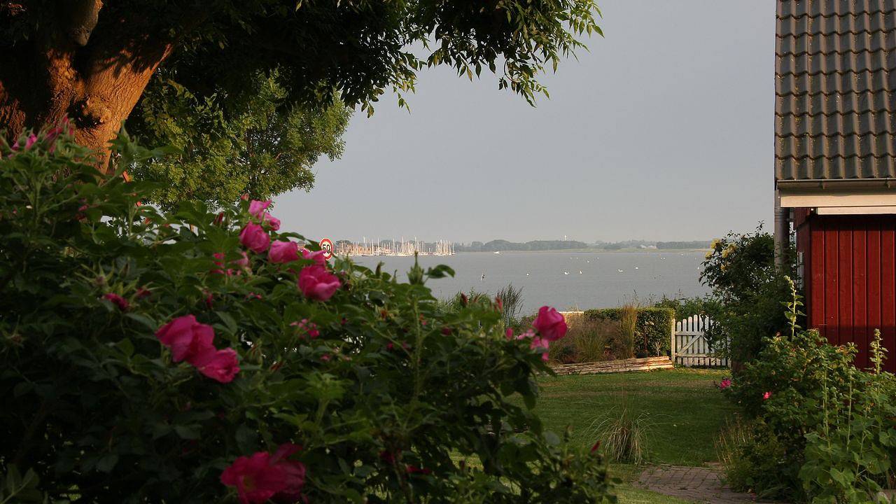 Ganze Ferienwohnung, Ferienwohnung für 4 Personen (65 m²) in Maasholm in Hasselberg, Kappeln & Umgebung