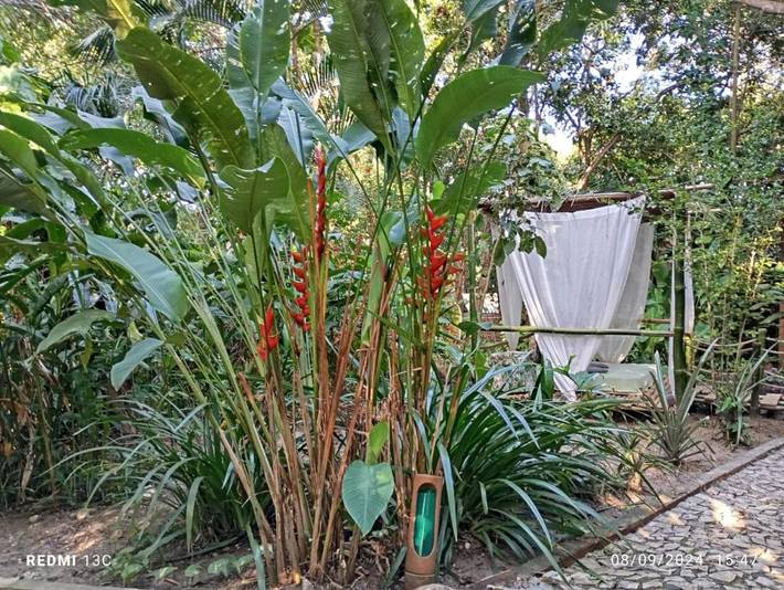 Maison d’hôte pour 2 personnes, avec vue et jardin dans Ilha de Boipeba - 2