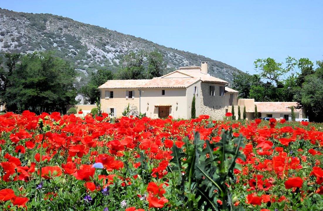 Mas de Longuefeuille - Victorine in Malaucène, Parc naturel régional du Mont-Ventoux