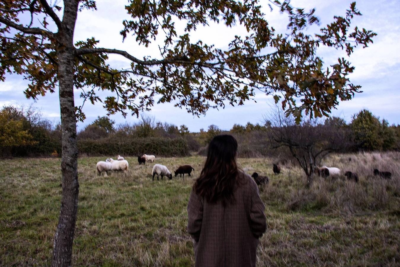 Ganze Wohnung, Tiny House in einem Bauernhof 20 Minuten von Beauval Zoo in Faverolles, Loire-Tal