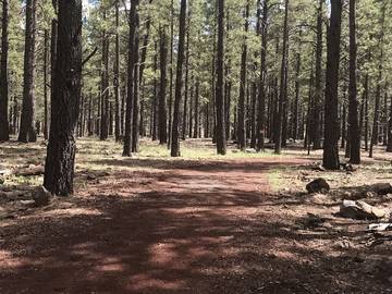 Vacation House for 4 Guests in Grand Canyon National Park, Coconino National Forest, Picture 3