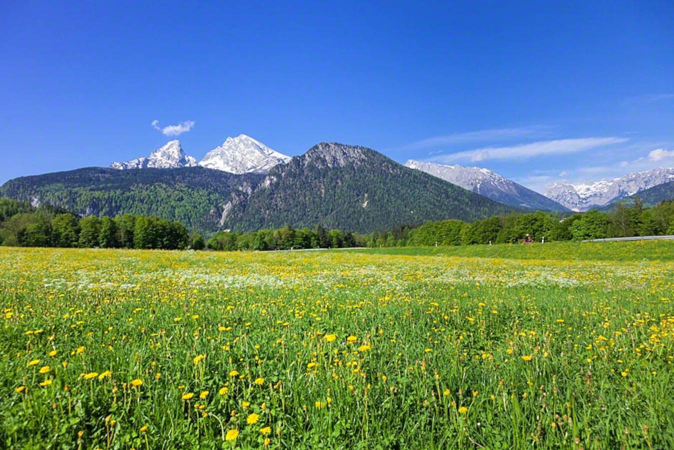 Ferienwohnung Triembachhof - Ferienwohnung 3 für 2 bis 4 Personen, 63 qm, 2 Schlafzimmer, 2 Bäder, Balkon in Göllstock, Schönau am Königssee