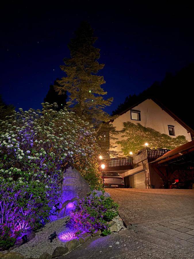 Ferienwohnung für 2 Personen, mit Garten und Seeblick sowie Ausblick im Pfälzer Wald