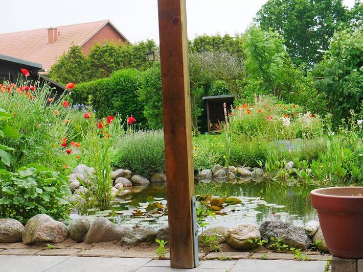 Kieken un Wunnern in Panker, Südliche Ostseeküste