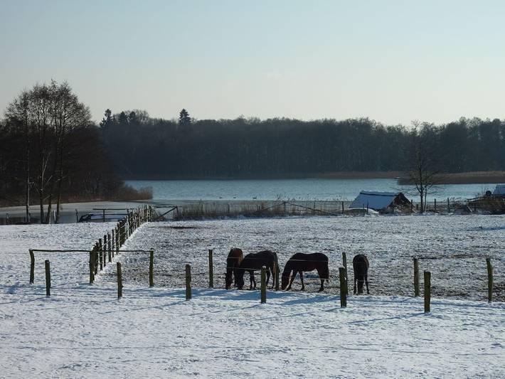 Ferienhaus mit 3 Schlafzimmer in Groß Zecher, Seedorf (Schaalsee)