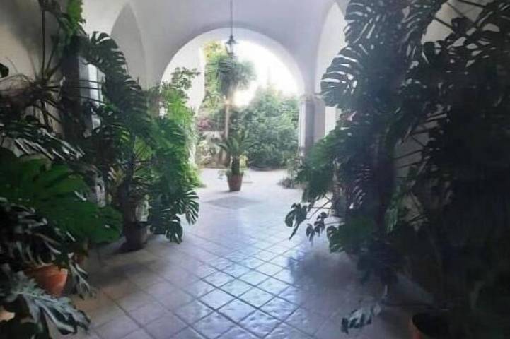 The House of Camellias | Elegant Double Room with Patio in Meta, Sorrento Coast