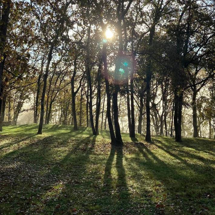 Gîte pour 3 personnes, avec piscine ainsi que jardin et vue, animaux acceptés à Valojoulx - 3