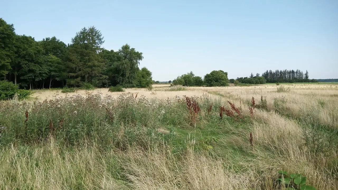 Ferienhaus für 8 Personen (80 m²) in Storvorde in Egense, Limfjord Nordjütland