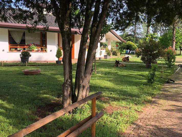 Location de vacances pour 2 personnes, avec jardin ainsi que sauna et vue à Premariacco - 3