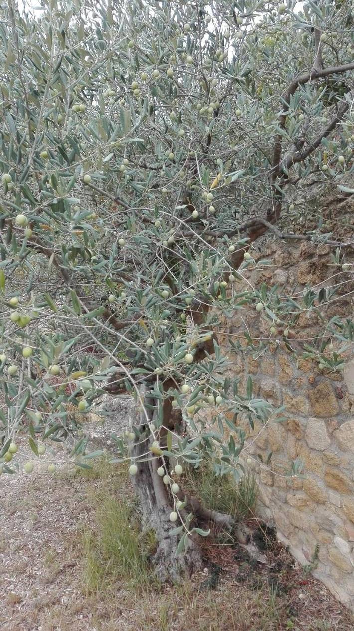 Location de vacances pour 2 personnes, avec jardin et vue à Lauris - 4