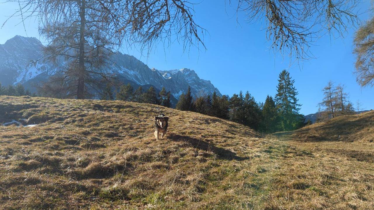 Landhaus Steinbrech in Grainau, Eibsee