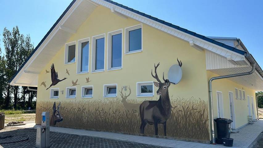 Ferienwohnung für 4 Personen, mit Terrasse und Garten sowie Sauna in Prohn - 2