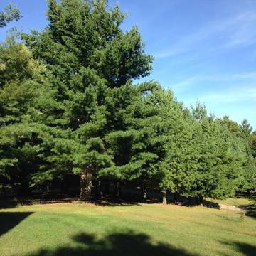 Log Cabin for 3 People in Wisconsin, USA, Photo 4