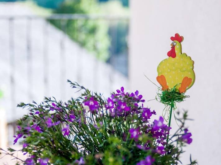 Casa rural para 2 personas, con jardín en Montaña de Luna - 4