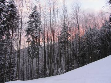 Ferienwohnung für 8 Personen in Elzach, Hochschwarzwald, Bild 4