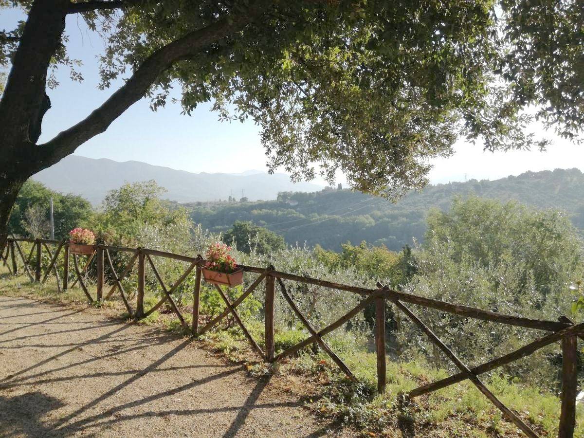 Le Storie di Bambu in Terni, Terni Provinz