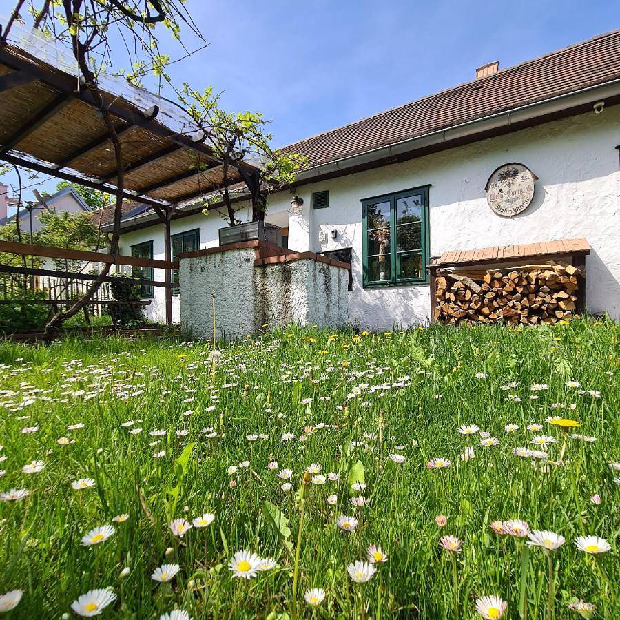 Ganze Wohnung, Apartment - Split Level in Prinzendorf an der Zaya, Hauskirchen
