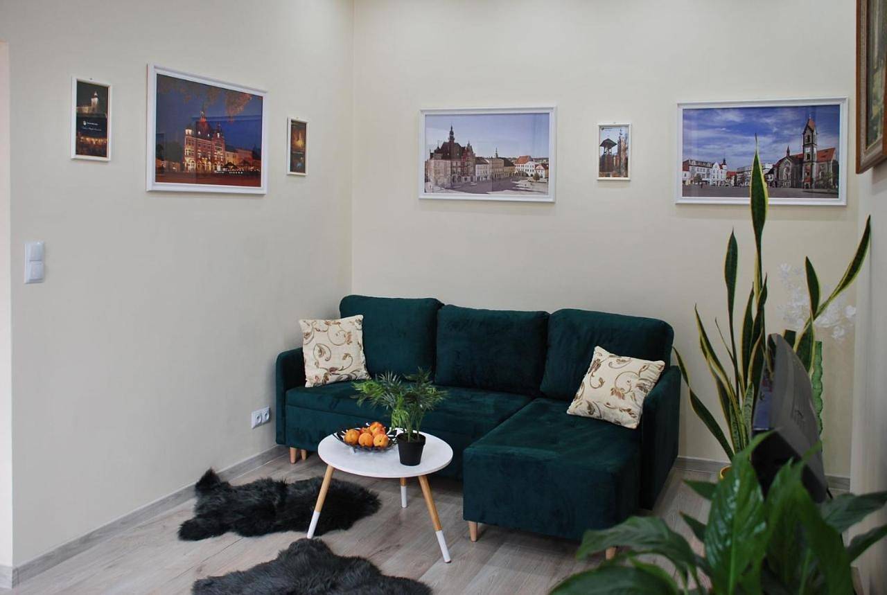 Cały apartament, One-Bedroom Apartment in Tarnowskie Góry, Śląsk