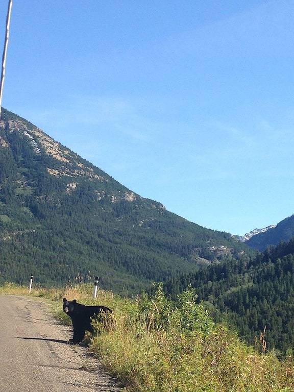 Schönes Familienhaus 15 Minuten von Waterton, Ab !! in Castle Mountain