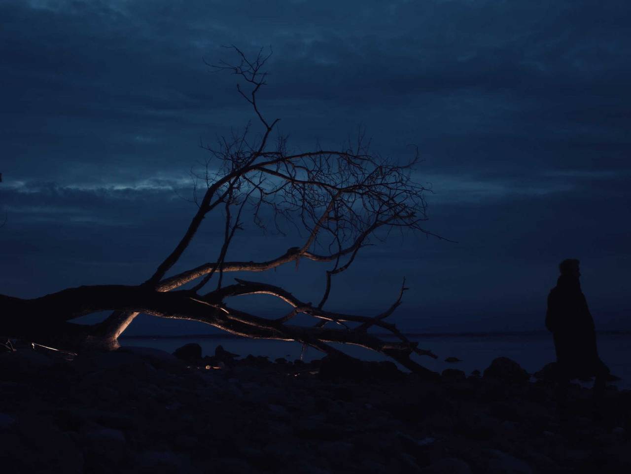 Design Ferienhaus Nienrausch mit 2 Apartments - Design Ferienhaus nienrausch mit 2 Apartments in Niendorf, Timmendorfer Strand