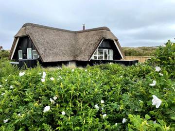 Hus för 6 Personer i Hvide Sande, Västra Jylland, Bild 3