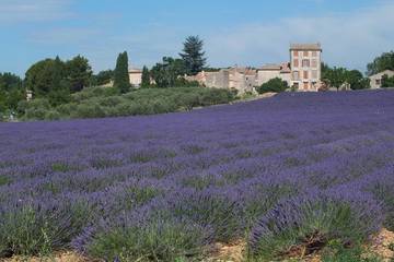 Gîte pour 5 personnes, avec jardin et terrasse, animaux acceptés à Saint-Saturnin-lès-Apt