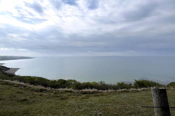 Ferienhaus mit Meerblick für 5 Personen, mit Terrasse, mit Haustier auf Seeland - 4