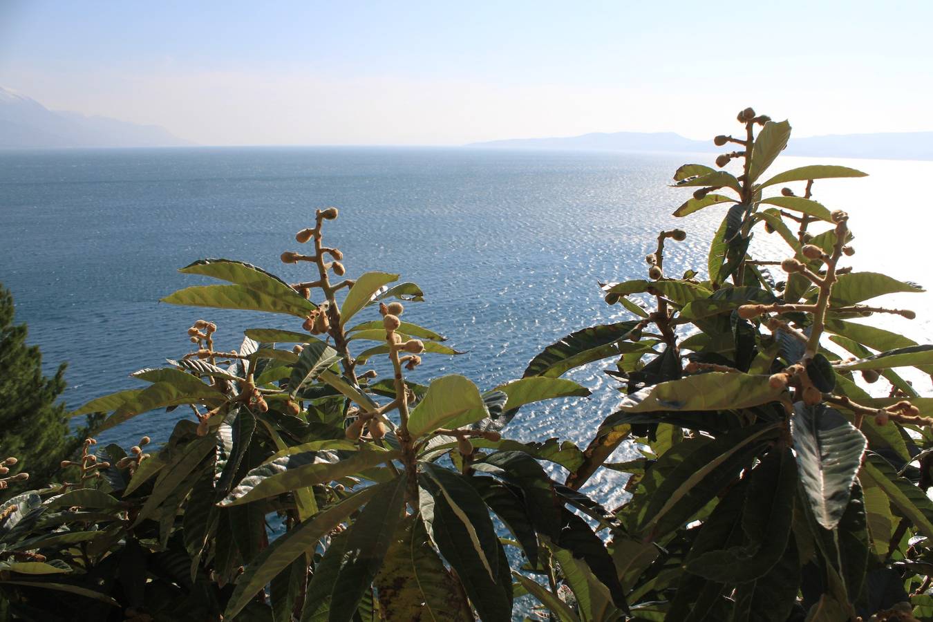 Geheel appartement, Eenkamerappartement met terras en uitzicht op zee Marusici, Omis A-8632-a in Marusici, Omiš-Riviera