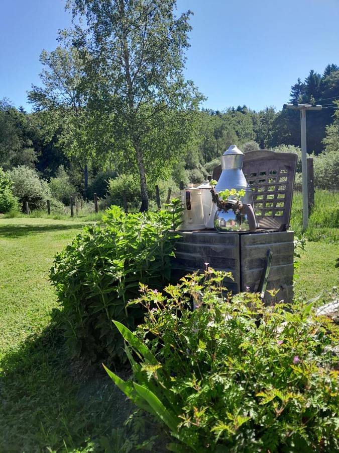Gîte pour 2 personnes, avec jardin et vue ainsi que piscine et vue sur le lac, animaux acceptés à Saint-Nabord - 4