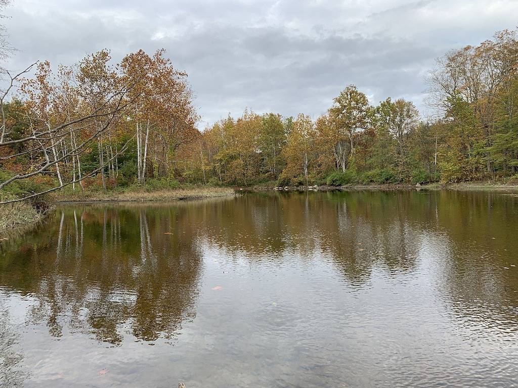 Modern private home 30 acres w/ pool, river, billiards, & near 4 ski mtns in Townshend, Windham County