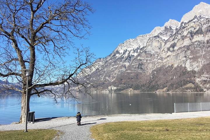 Ganze Ferienwohnung, Ferienwohnung Resort Walensee Nr. 99 - 3.5-Zimmerwohnung in Walensee (Heidiland), Quarten
