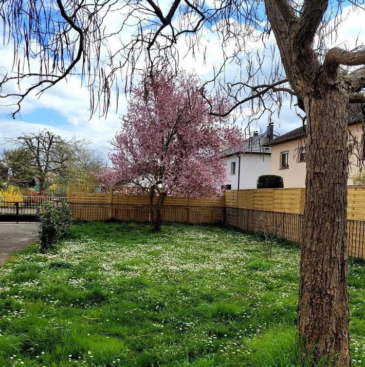 Gîte pour 4 personnes, avec terrasse et jardin à Horbourg-Wihr - 2