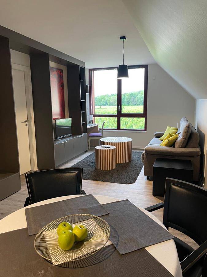 Gîte pour 2 personnes, avec vue, animaux acceptés à Kientzheim - 4