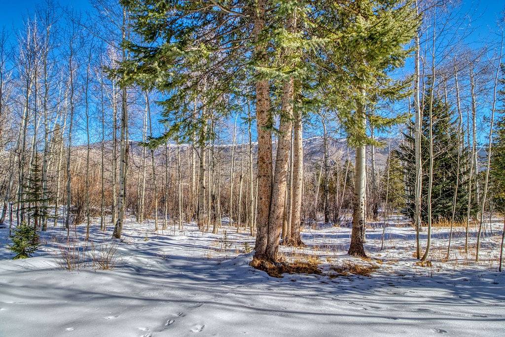 Neue Auflistung! Großes Haus mit Blick auf die Berge, Gaskamine und Gourmetküche in Silverthorne, Arapaho and Roosevelt National Forests
