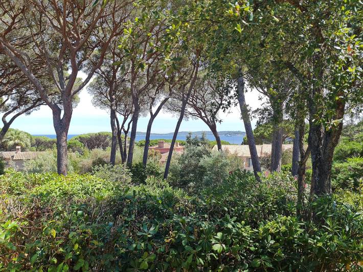 Location de vacances pour 6 personnes, avec piscine et terrasse dans Plage De La Croisette Sainte Maxime - 3