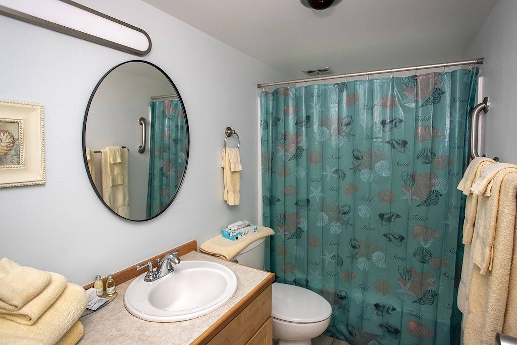 Ganze Wohnung, Expansive Ocean View Sonnenaufgang bis Sonnenuntergang. Neu renoviert in Gearhart, Clatsop County