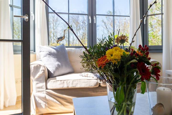 Ferienwohnung für 4 Personen, mit Terrasse und Ausblick, mit Haustier in Wustrow - 4