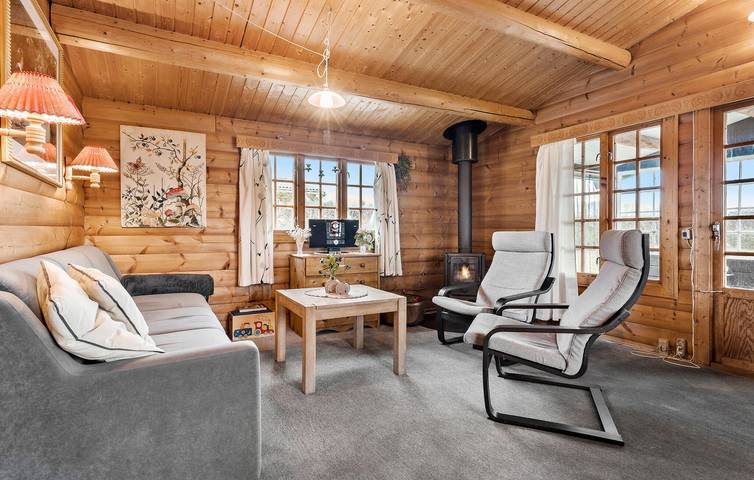 Ferienhaus mit Meerblick für 6 Personen, mit Terrasse, mit Haustier auf Fünen - 4