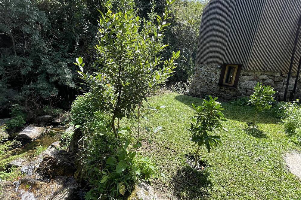 Casa da Tintim in Baião, Douro-Tal