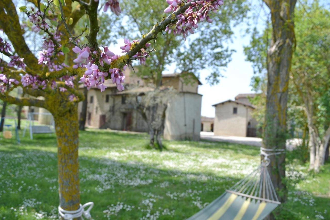 Monolocale intero, Studio in Umbertide, Valtiberina