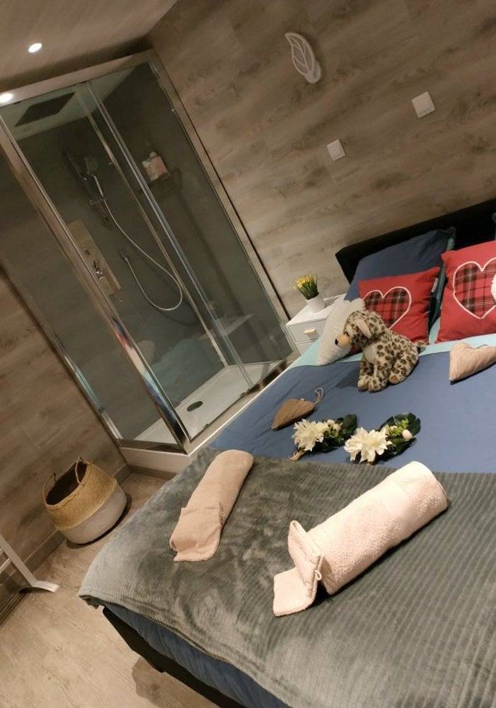 Chambre d’hôte pour 2 personnes, avec piscine et jardin dans Le Caire