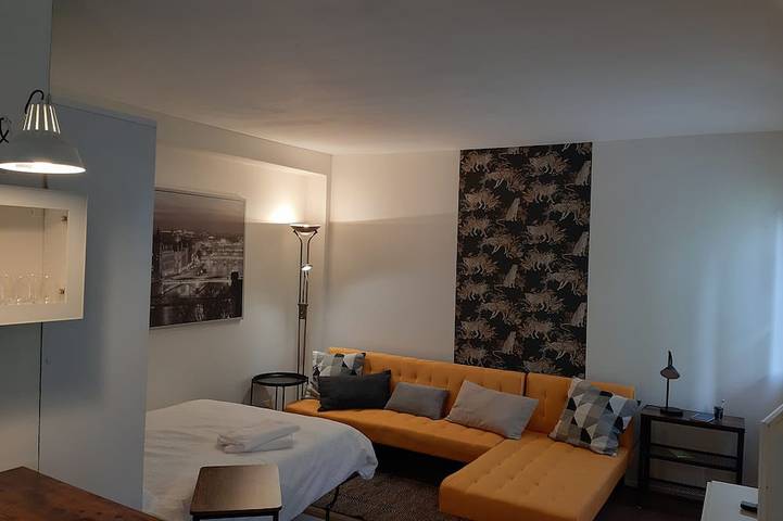 Gîte pour 3 personnes, avec jacuzzi et jardin à Noisy-sur-École - 2