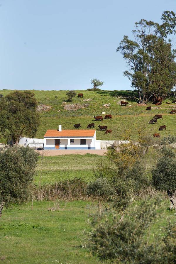 Monte de Matacães in Borba, Distrito de Évora