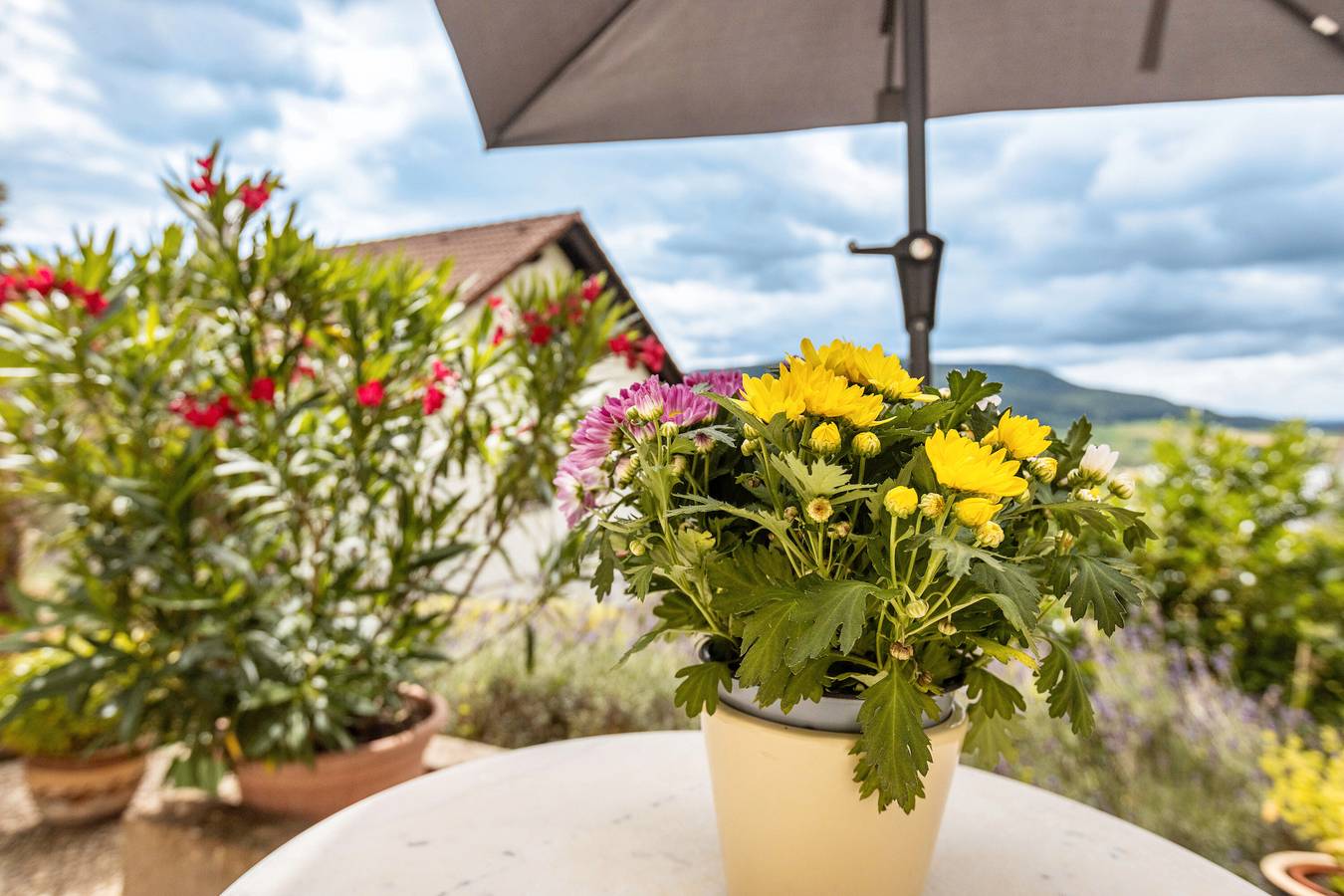 Ganze Wohnung, Apartment 'Rieth' mit Bergblick, privater Terrasse und Wlan in Dürbheim, Naturpark Obere Donau