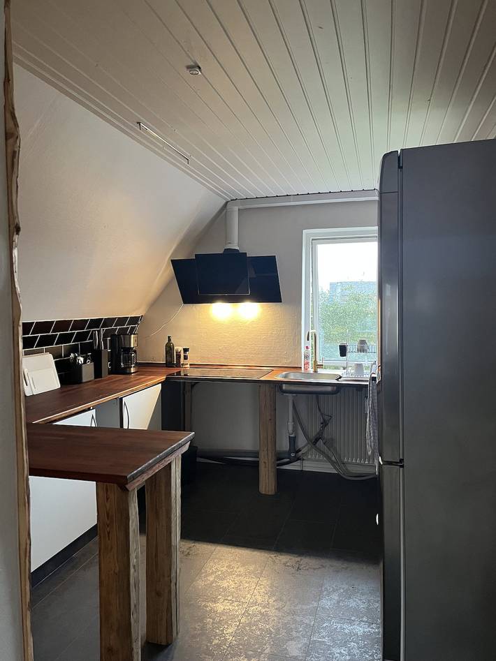 Ganze Wohnung, Helle, gemütliche Wohnung nahe Zentrum in Herning, Herning und Umgebung