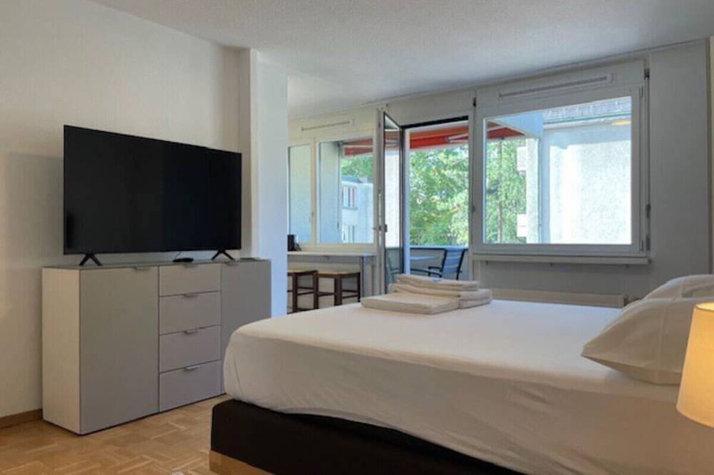 Appartamento intero, Bright and practical Studio (Art 16) in Zurigo, Distretto di Zurigo