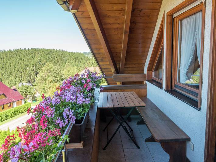 Ganze Wohnung, Ferienwohnung, Furtwangen in Furtwangen, Südschwarzwald