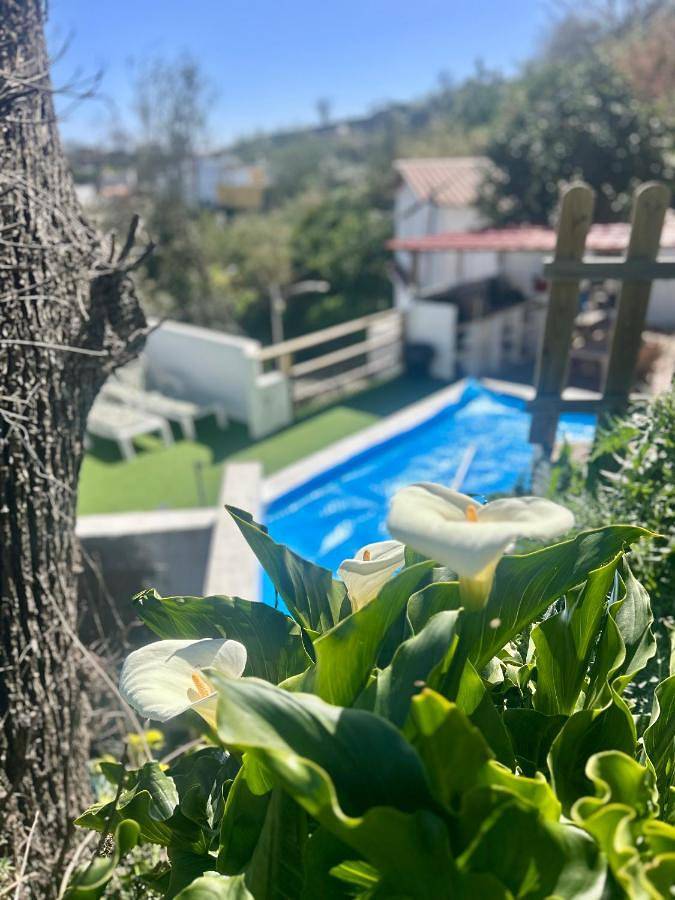 Casa rural para 6 personas, con vistas además de jardín y piscina, Se admiten mascotas en Valleseco - 4